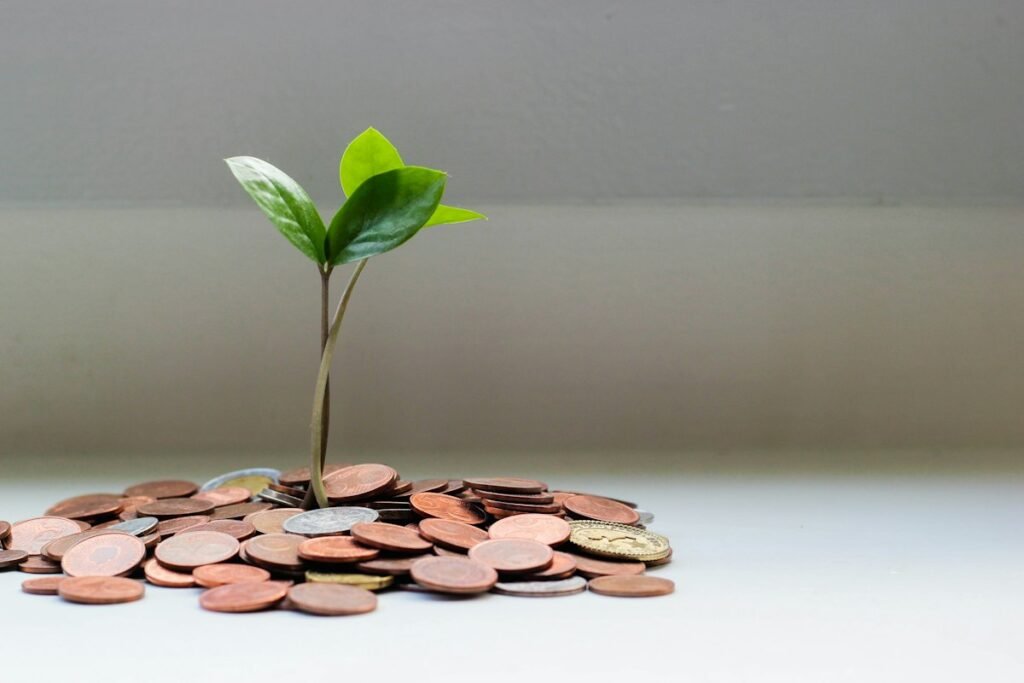 Coins and a growing plant symbolising investment growth