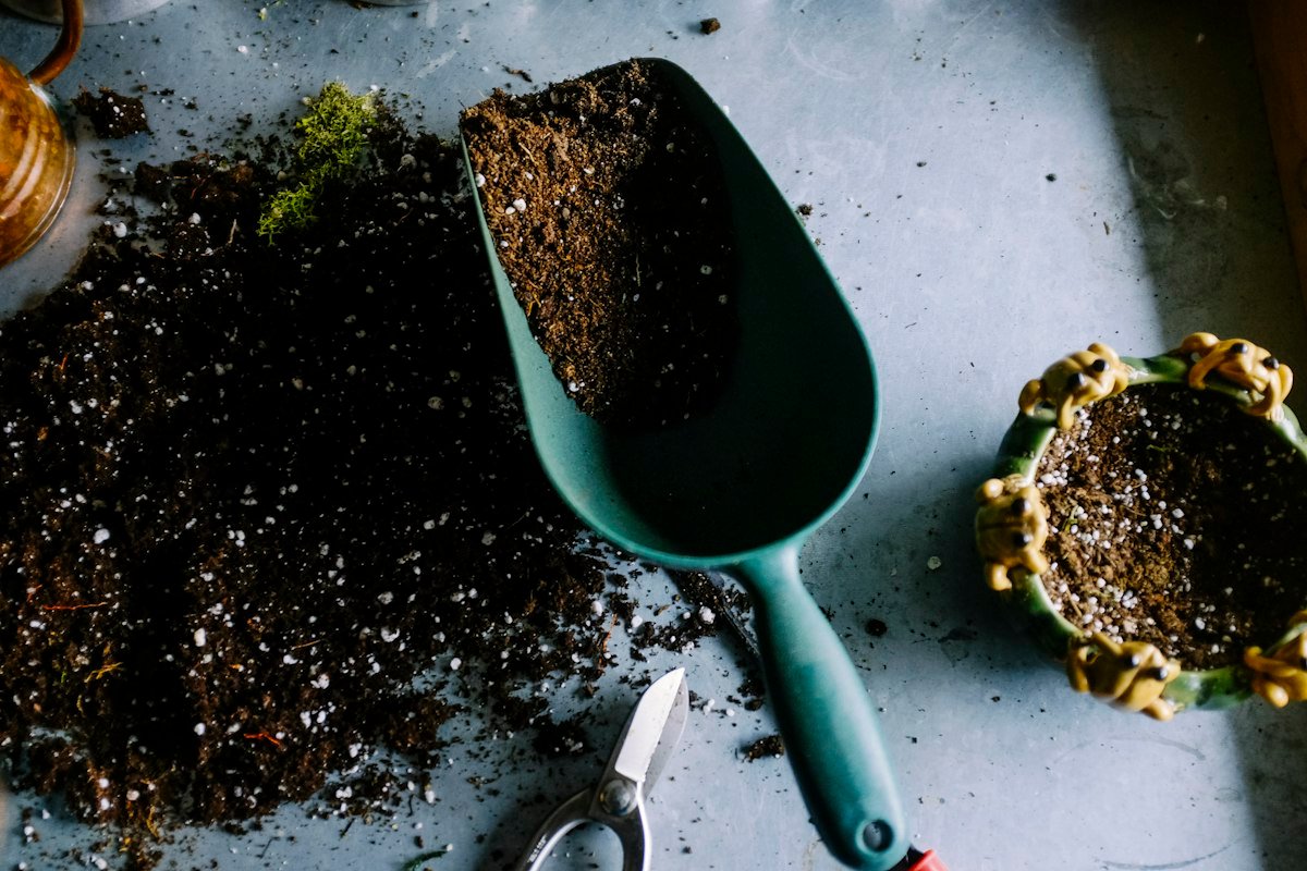 Simple Ways to Live More Sustainably